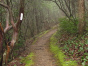 Nantahala National forest/Appalachian trail