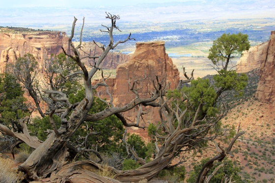Colorado National Monument