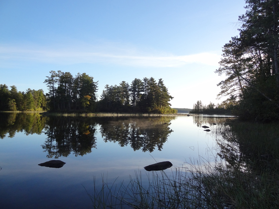BWCA