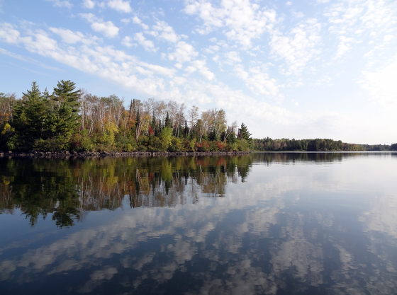 BWCA