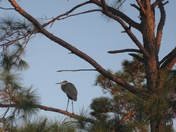 Gulf Islands National Seashore, Florida