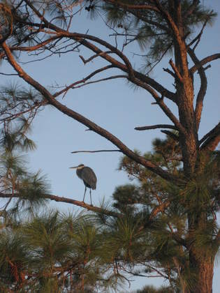 Gulf Islands National Seashore, Florida