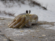Gulf Islands National Seashore, Florida