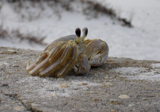 Gulf Islands National Seashore, Florida