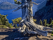 Crater Lake National Park