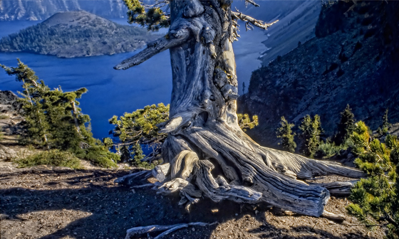 Crater Lake National Park