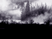 Yosemite National Park