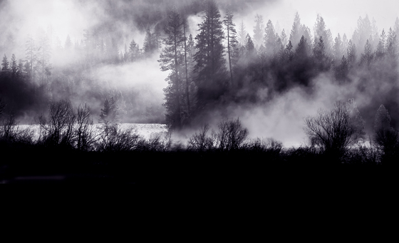 Yosemite National Park