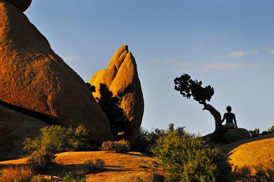 Joshua Tree National Park