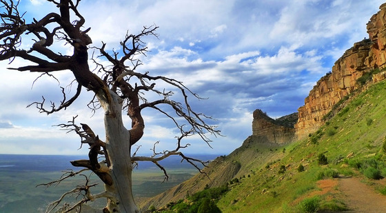 Mesa Verde National Park