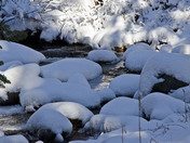 Sequoia National Park
