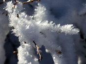 Sequoia National Park