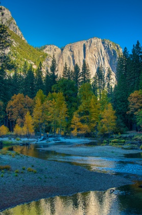 Yosemite National Park