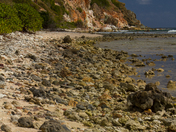 Virgin Islands National Park