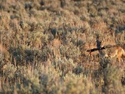 Grand Teton National Park