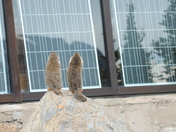 Glacier National Park