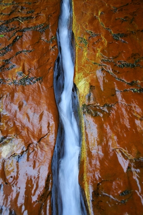 Zion National Park