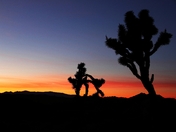 Joshua Tree National park