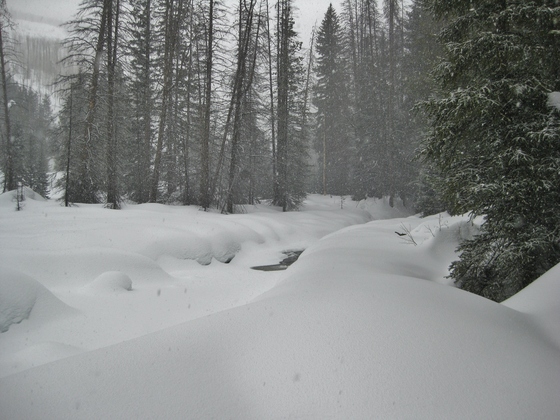 Uinta-Wasatch-Cache National Forest