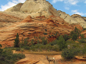 Zion National Park