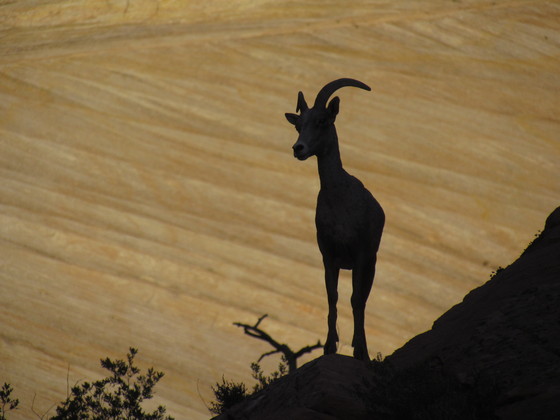 Zion National Park