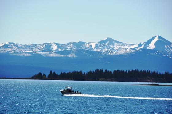 Yellowstone