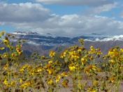 Superstion Wilderness Area