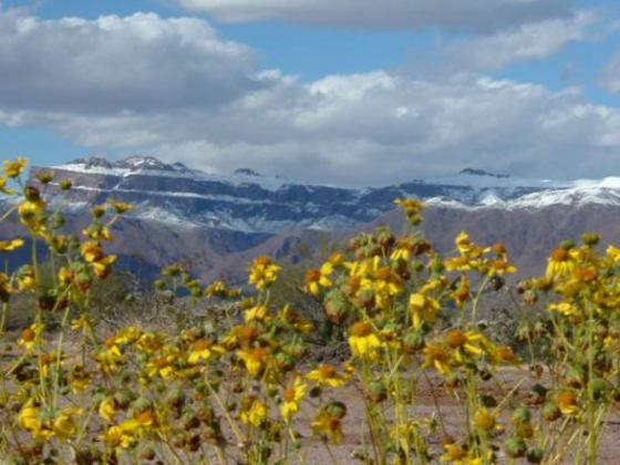 Superstion Wilderness Area