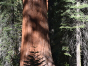 Yosemite National Park