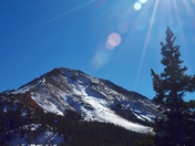 Uncompahgre National Forest