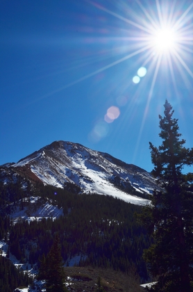 Uncompahgre National Forest
