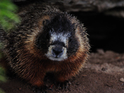 Grand Teton National Park