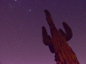 Tonto National Forest