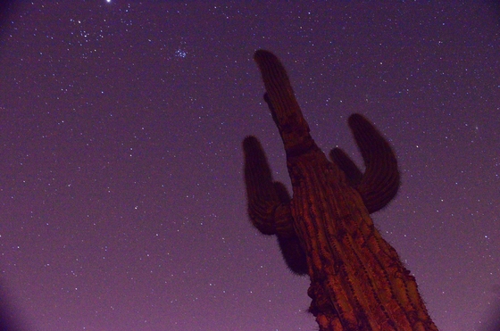 Tonto National Forest