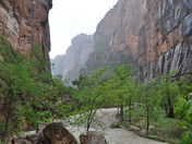 Zion National Park