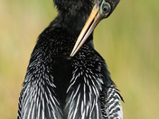 Everglades National Park