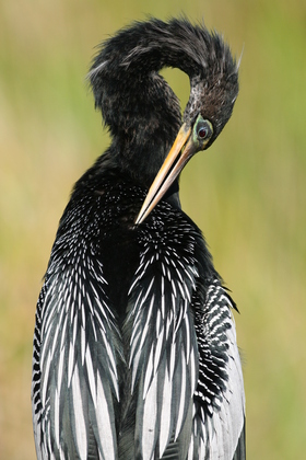Everglades National Park