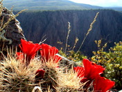 Black Canyon of the Gunnison