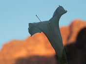 Grand Canyon National Park