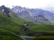 Denali National Park