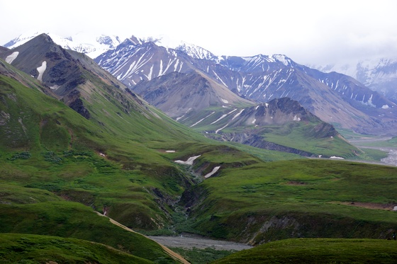Denali National Park