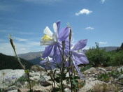 San Isabel National Forest
