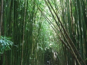 Haleakala National Park