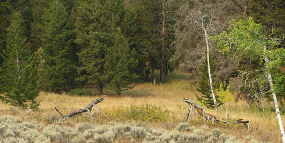 Clarks Fork  Wyoming