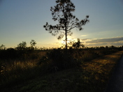Everglades National Park Florida