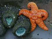 Olympic National Park