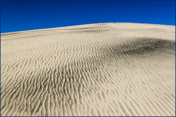 Mojave National Preserve