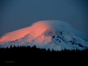 Shasta National Forest