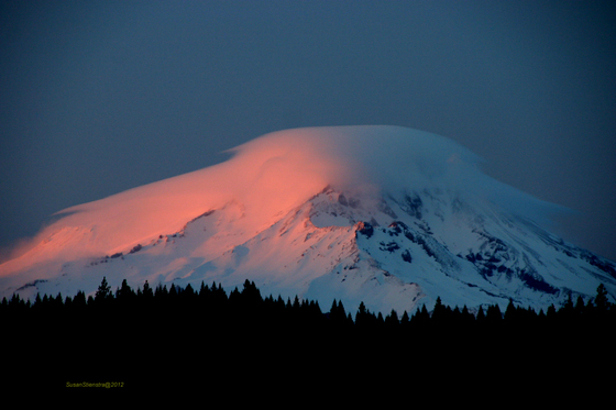 Shasta National Forest