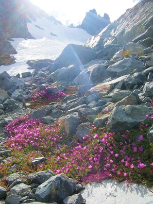 Sierra National Forest